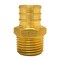Apollo 3/4 in. Brass PEX Barb x 1/2 in. Male Pipe Thread Reducing Adapter APXMA1234 - alternate 2